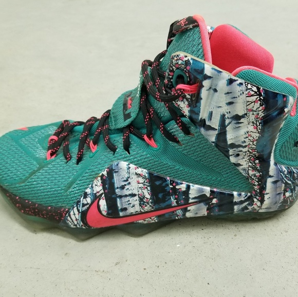 Nike Other - LEBRON 12'S AKRON BIRCH ADDITION